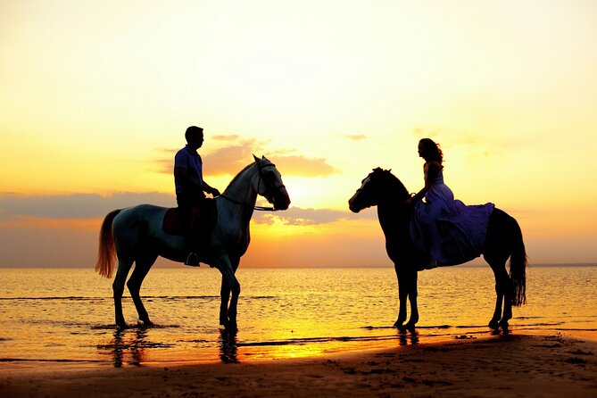 Horse Riding in Antalya,Belek,Lara Beach(Sunrise,Sunset,Day Time) - Who Should Book Horse Riding in Antalya (Belek and Lara)?