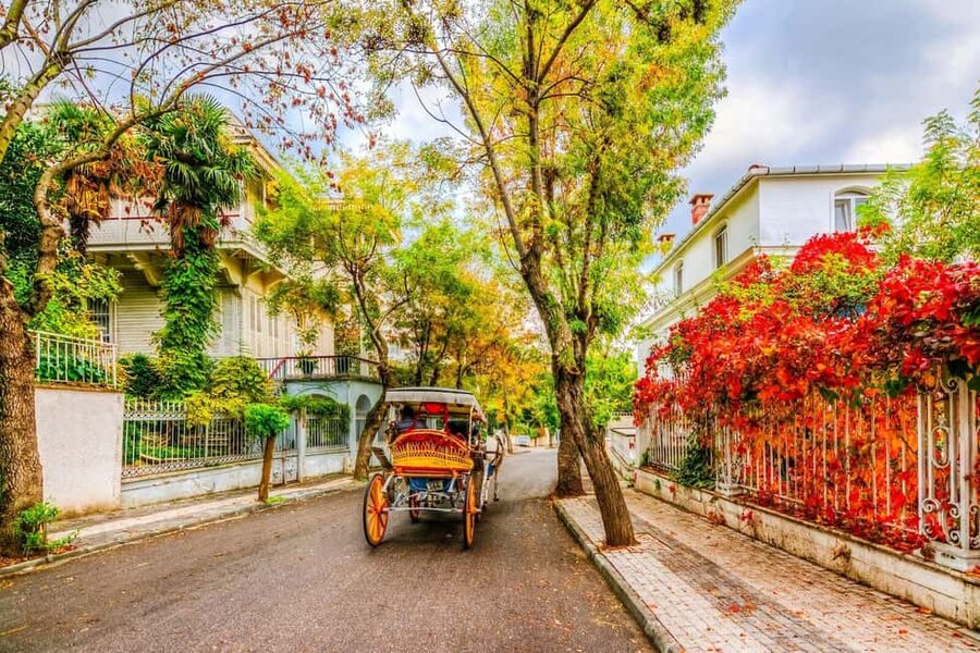 Istanbul: Princes' Islands Cruise with Lunch and Guide - From Cibalı Port to Open Water: the start matters