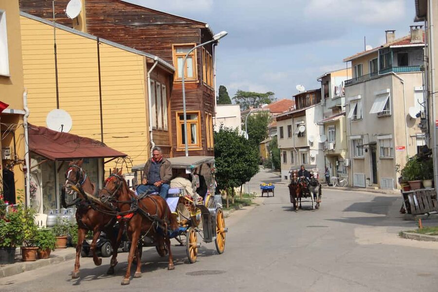 Istanbul: Princes' Islands Cruise with Lunch and Guide - Who this cruise suits best (and who should skip it)