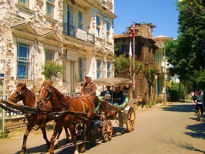 Istanbul: Princes' Islands Cruise with Lunch and Guide - Timing and pacing: how to avoid the tired-day trap