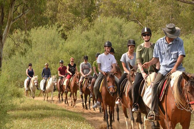 Kemer Horse Safari Experience With Free Hotel Transfer - Price and Value: what $60 really covers in Kemer