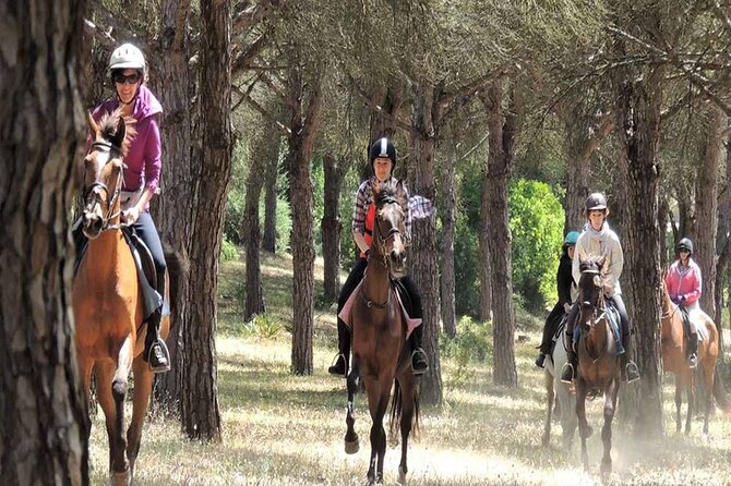 Kemer Horse Safari Experience With Free Hotel Transfer - Who This Tour Is Best For (and who should skip it)