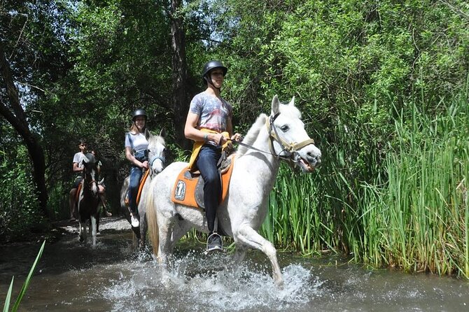 Kemer Horse Safari Experience With Free Hotel Transfer - Should You Book the Kemer Horse Safari With Free Hotel Transfer?