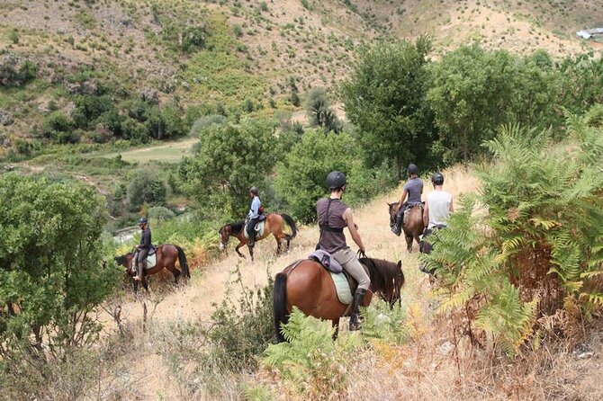 Kemer Horse Safari Experience With Free Hotel Transfer - Mounting Up: 1 Hour of Guided Horse Riding