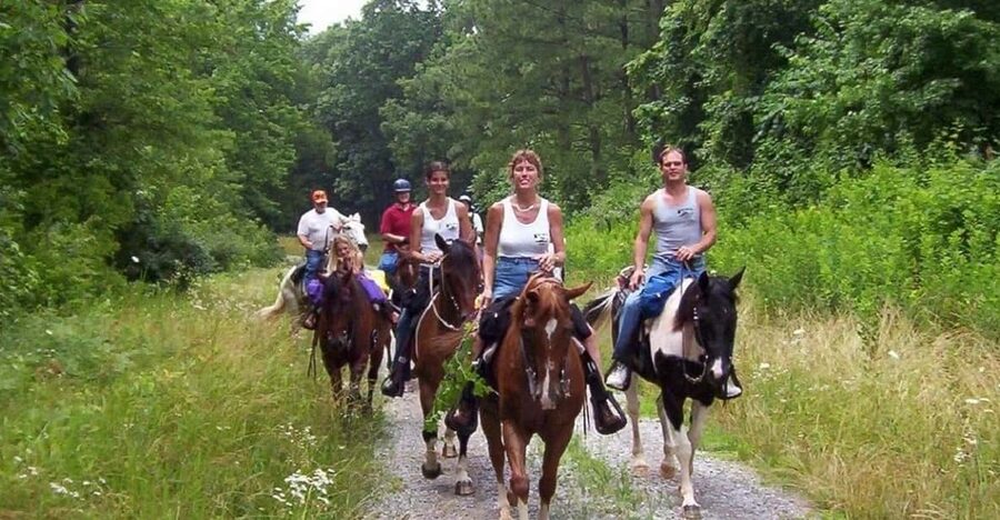 Kemer Horse Safari, pick up from Kiris, Beldibi, Goynuk - Timing That Fits Real Days: 2 Hours Total, Every Hour 9:00–16:00