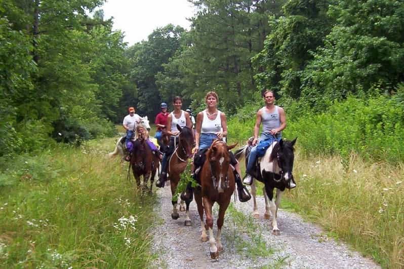 Kemer Horse Safari, pick up from Kiris, Beldibi, Goynuk - Before You Mount: Helmet, Lesson, and Horse Handling Basics