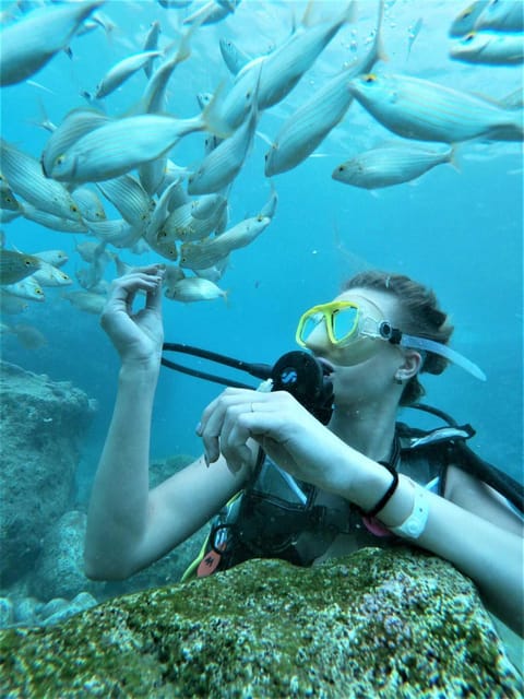 Kemer: Scuba Diving Experience in Aquarium and Kiris Bays - Before you go underwater: instruction that keeps it simple