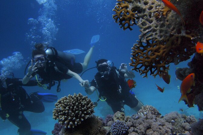 Kemer Scuba Diving Experience: Two Dives with Lunch - Price and logistics: is $40 good value in Kemer?