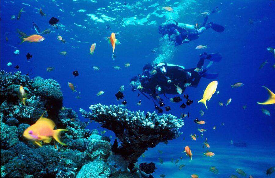 Kemer Scuba Diving with Expert Diving Option - Who this is best for (and who should skip it)