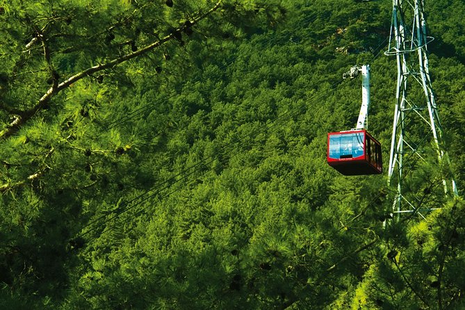 Olympos Teleferik Cable Car Antalya Ticket - Who should book Olympos Teleferik—and who should skip it
