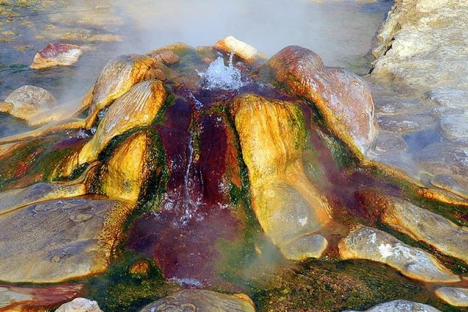 Pamukkale, Cleopatra’s pool, Hieropolis from Antalya with lunch - Cleopatra’s Pool: the thermal swim you came for (and the extra fee reality)