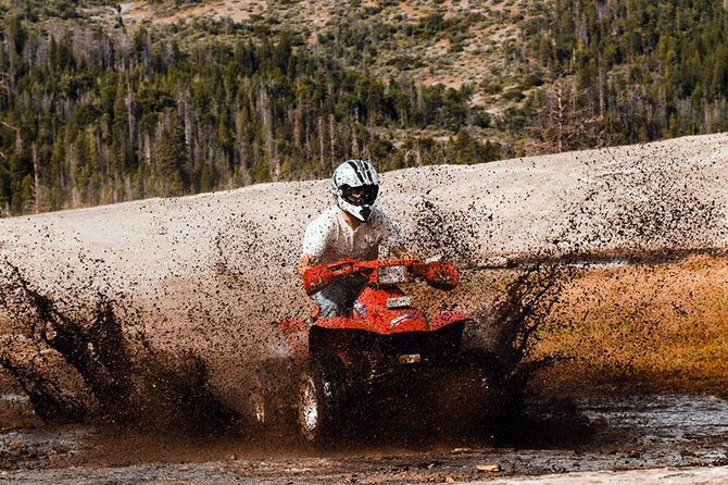 Quad Biking in Belek Forests & Taurus Mountains - Who This Quad Tour Suits Best (And Who Might Want Something Softer)