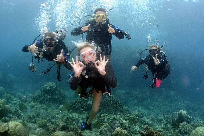 Scuba Diving in Antalya from Antalya & Kemer - Gear, Mask Fit, and That Instructor Attention