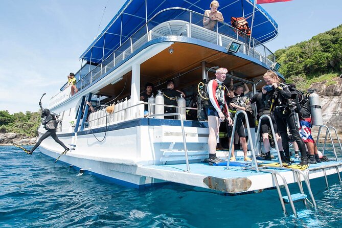 Scuba Diving in Antalya from Antalya & Kemer - Jellyfish and Sea Conditions: What to Keep in Mind