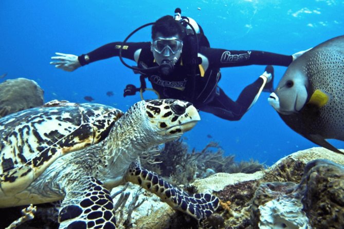 Scuba Diving Tour - First Stop: Solymos Travel and How the Day Starts