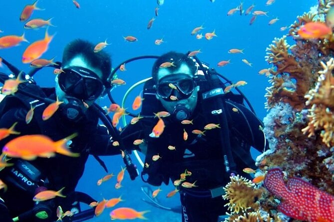 Scuba Diving Tour - Instructors, 1:1 Coaching, and Included Insurance