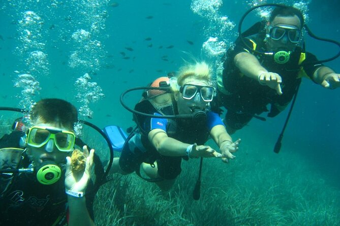Scuba Diving Tour - Non-Participants Are Welcome: What They Can Do on the Boat