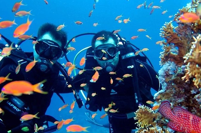 Scuba Diving Tour - What You Should Bring (So the Day Doesn’t Feel Awkward)