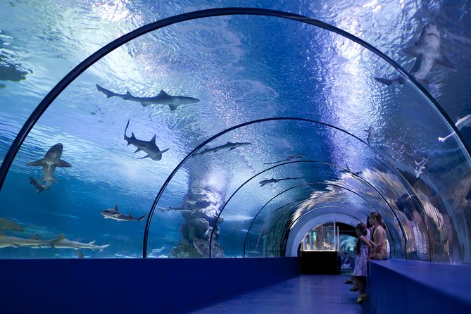 Side: Antalya Aquarium Ticket With Optional Transfer - Hotel Pickup on Tuesdays and Fridays: When It Helps and When It Doesn’t