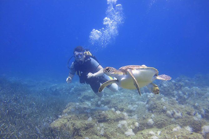 Side: Scuba Diving Under Water Museum - Two sessions in the same area: why it’s more than one quick stop