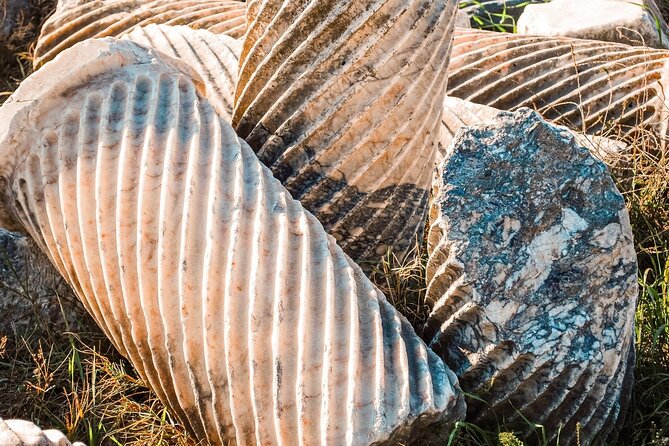 Termessos, Antalya Museum, and Kaleici Day Tour - What to Bring, and How to Handle Lunch and Drinks